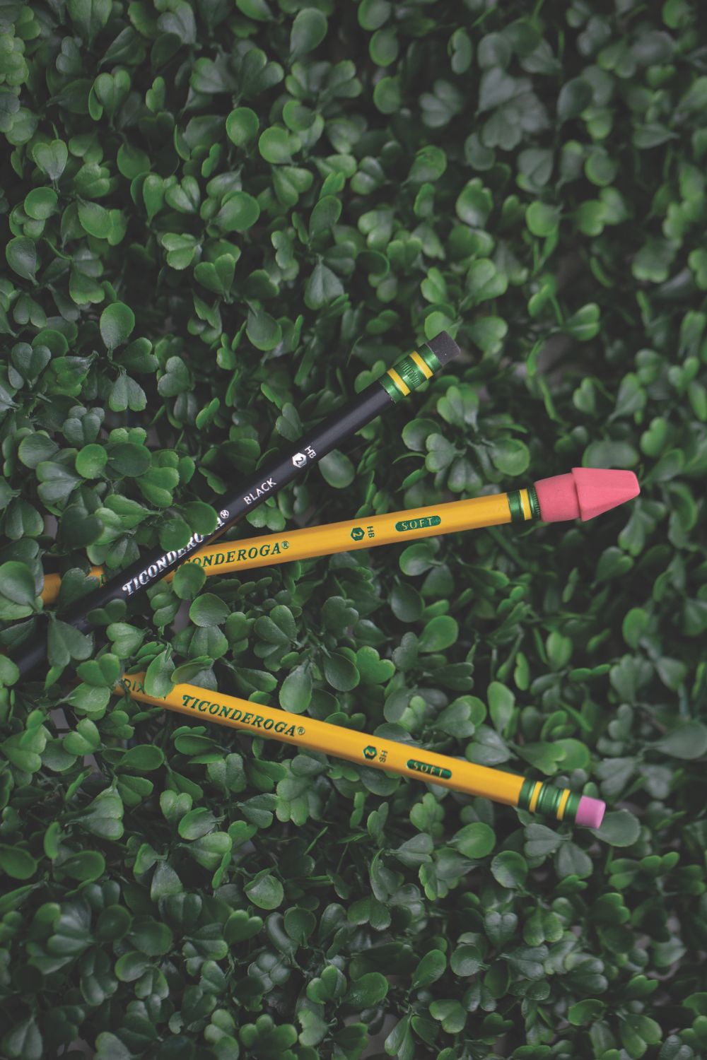 Ticonderoga Sharpened Pencils #2 HB Premium Wood Latex-Free Eraser